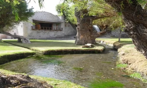 Parque Natural Sabandia