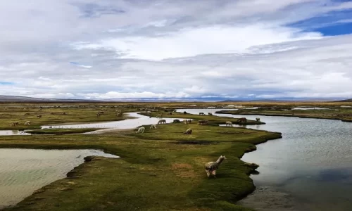Reserva Nacional de Salinas y Aguada Blanca
